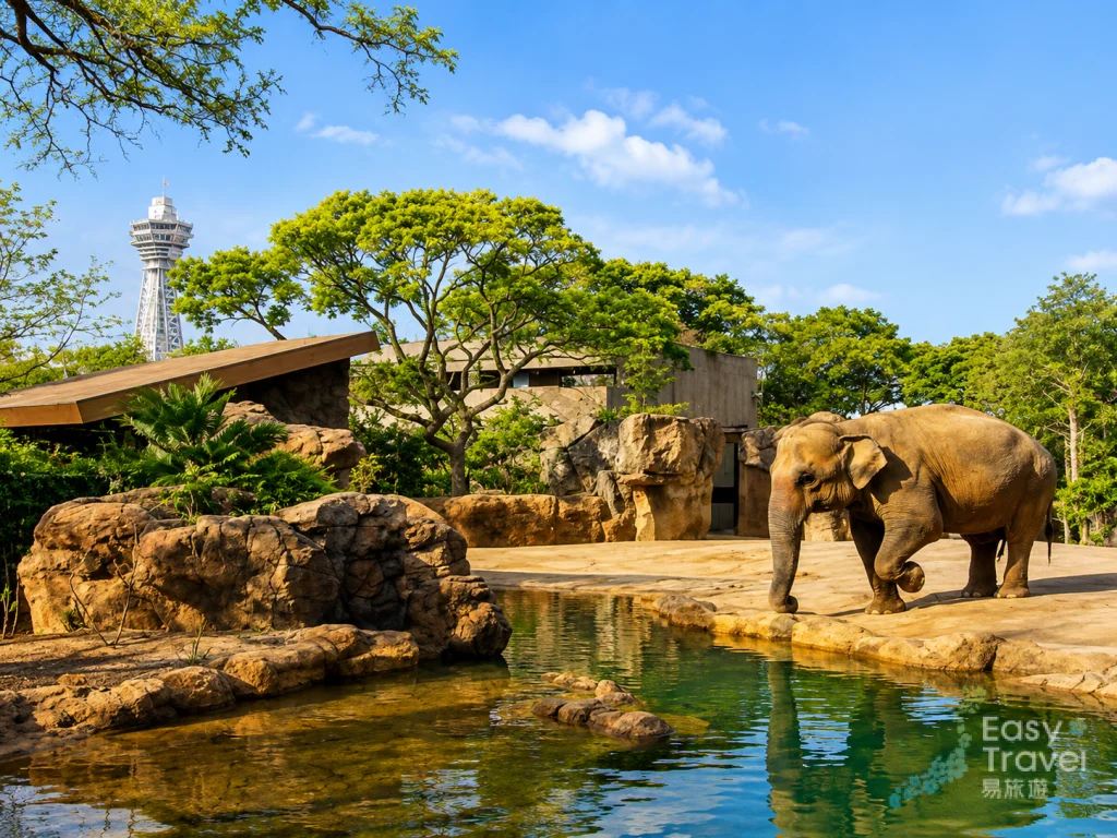 Tennoji Zoo in Osaka Shinsekai