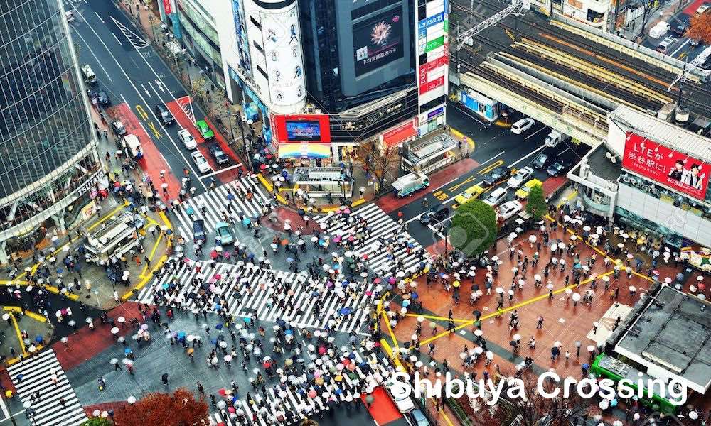 Shibuya 1