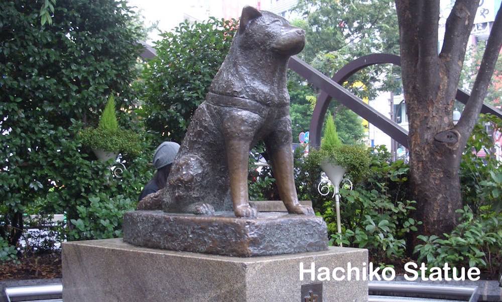 Shibuya 2