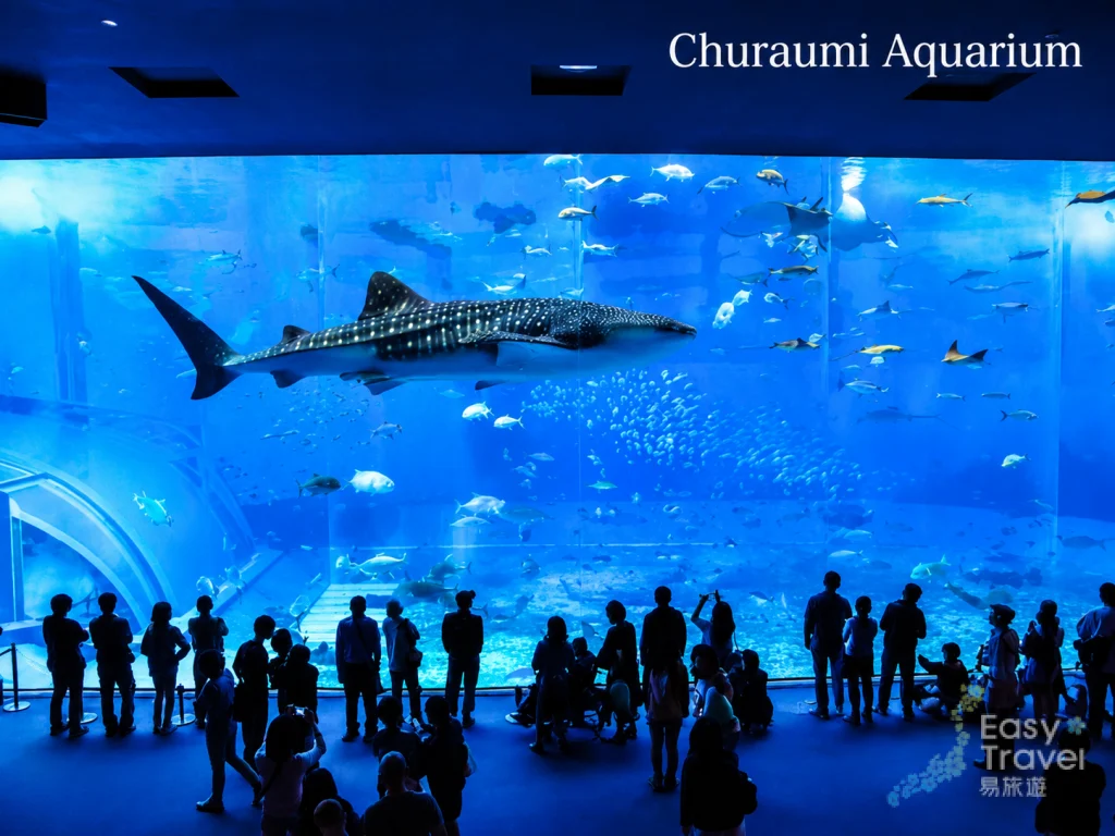 Churaumi Aquarium