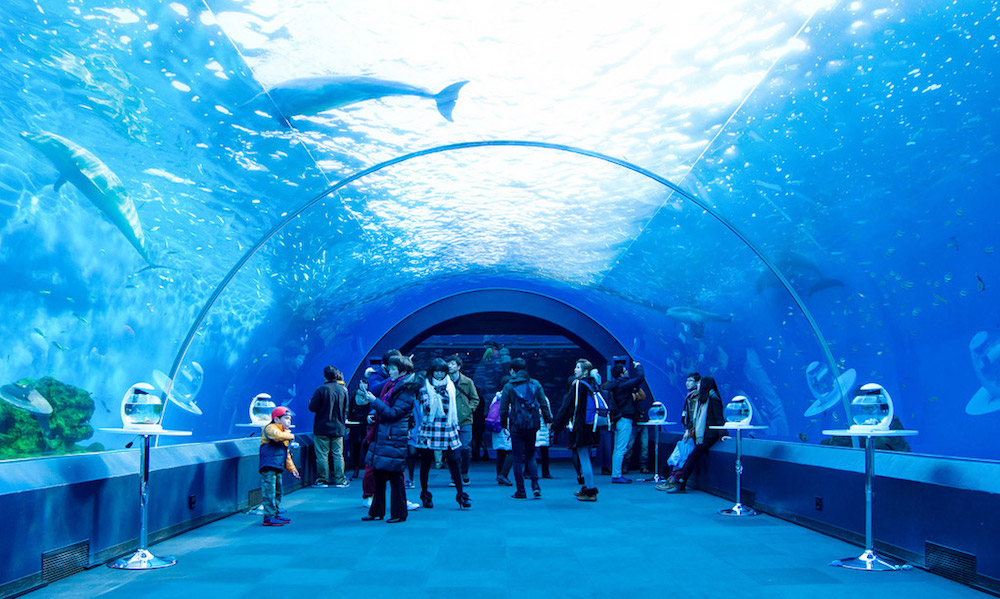 Hakkejima Sea Paradise