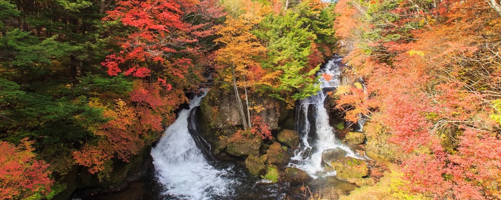 Nikko Travel Info